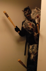 Wolfsrudel schaut um die Ecke
