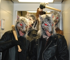 Wolfsrudel im Fahrstuhl