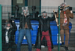 Wolfsrudel am Gitter